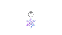 CHARM Snow Flake